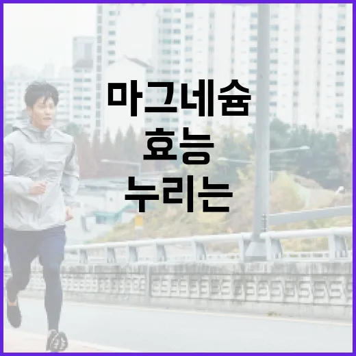 마그네슘의 효능을 최대로 누리는 방법 - 요약