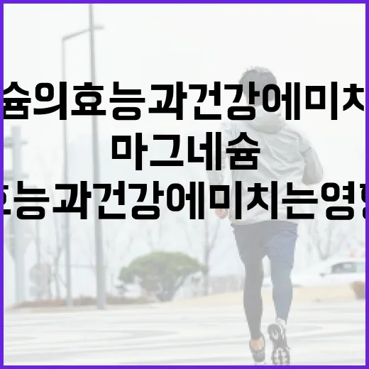 마그네슘의 효능과 건강에 미치는 영향 이해하기 - 요약