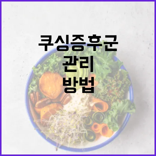 쿠싱증후군을 이해하고 관리하는 방법 - 요약