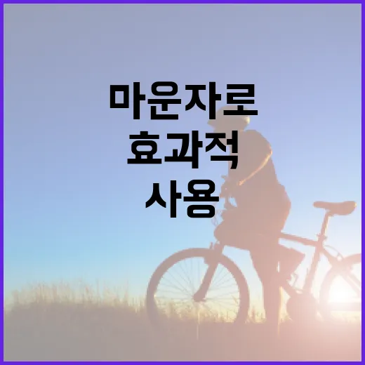 마운자로 후기를 통해 알아보는 효과적인 사용 방법 - 요약