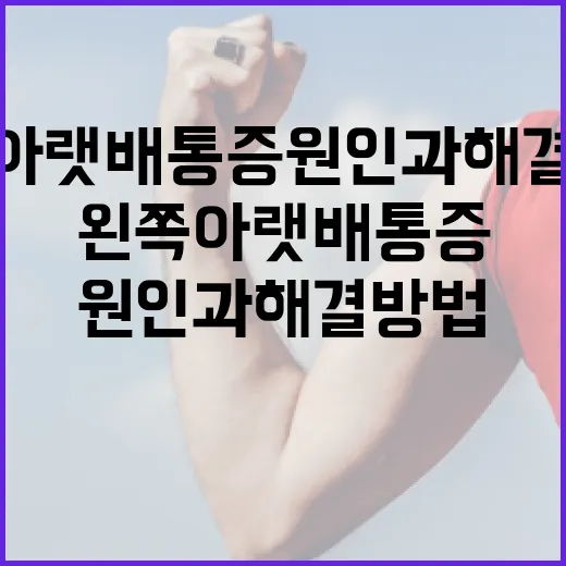 왼쪽 아랫배 통증 원인과 해결 방법 - 요약