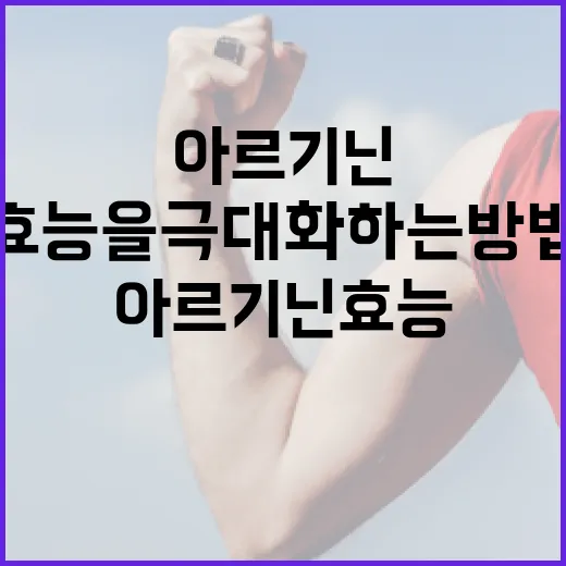 아르기닌 효능을 극대화하는 방법 - 요약