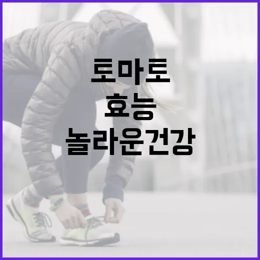 토마토의 놀라운 건강 효능을 극대화하는 방법 - 요약