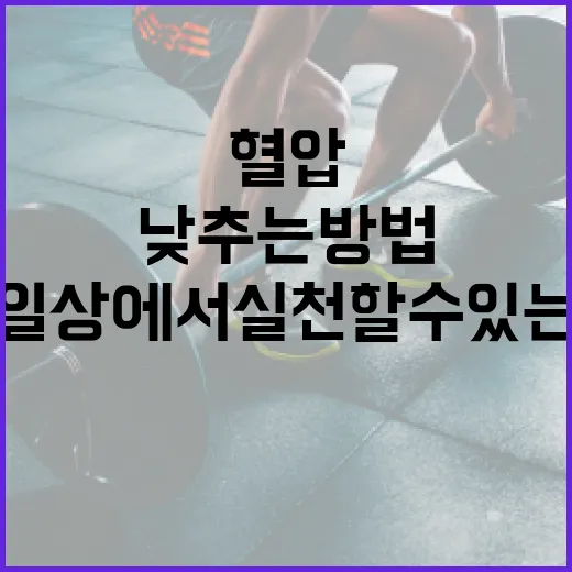 혈압을 낮추는 방법: 일상에서 실천할 수 있는 효과적인 방법 - 요약