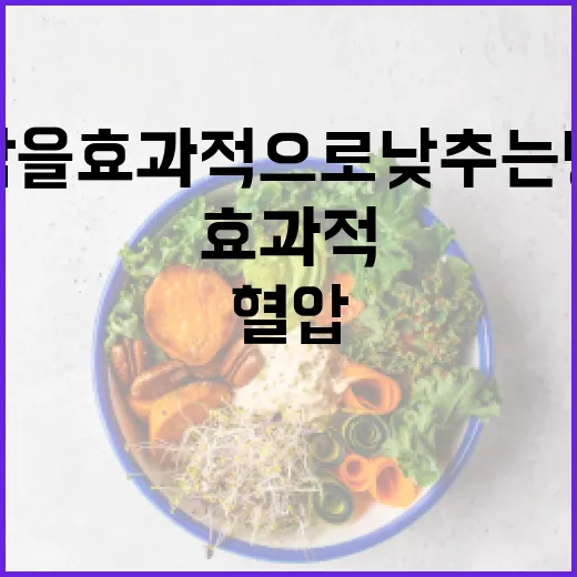 혈압을 효과적으로 낮추는 방법 - 요약