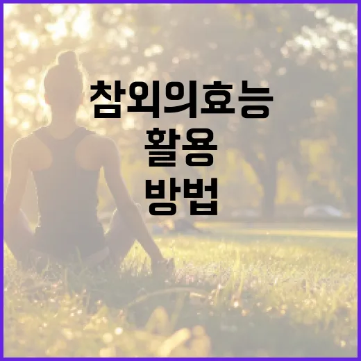 참외의 효능을 최대한 활용하는 방법 - 요약