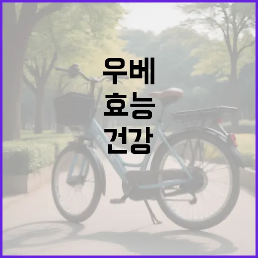 우베의 건강 효능을 극대화하는 방법 - 요약