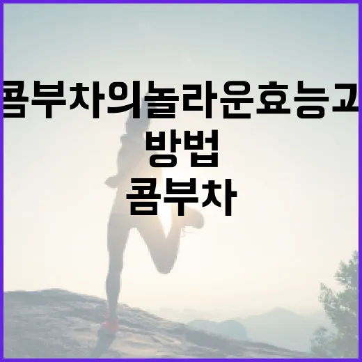 콤부차의 놀라운 효능과 제대로 즐기는 방법 - 요약