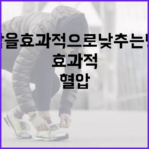 혈압을 효과적으로 낮추는 방법 - 요약