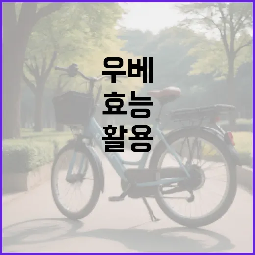 우베의 건강 효능을 최대한 활용하는 방법 - 요약