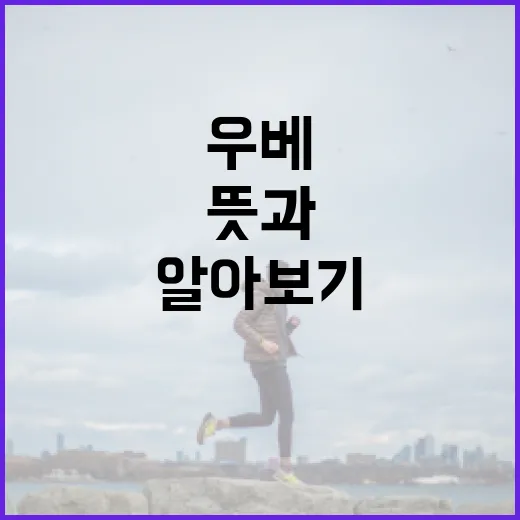 우베의 뜻과 건강에 미치는 영향 알아보기 - 요약