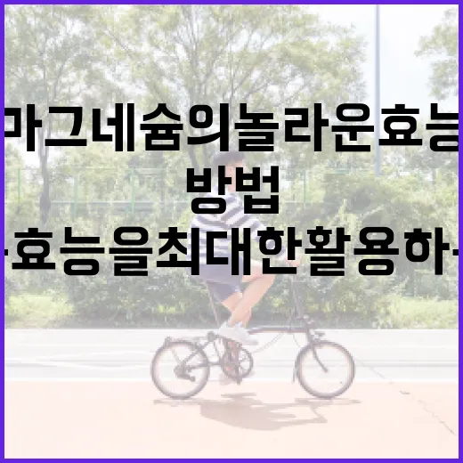 마그네슘의 놀라운 효능을 최대한 활용하는 방법 - 요약