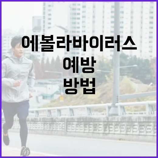 에볼라바이러스를 예방하는 방법 - 요약