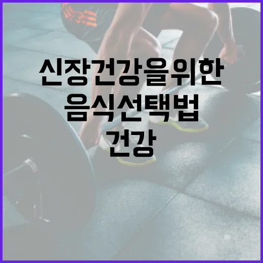 신장 건강을 위한 최고의 음식 선택법 - 요약