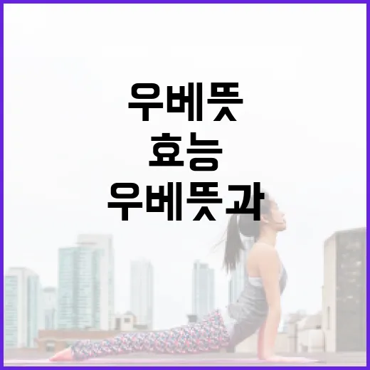 우베 뜻과 건강에 미치는 다양한 효능을 알아보는 방법 - 요약