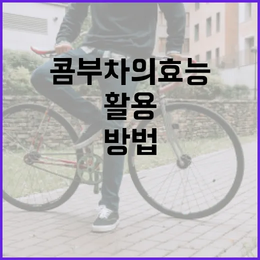 콤부차의 효능을 최대한 활용하는 방법 - 요약