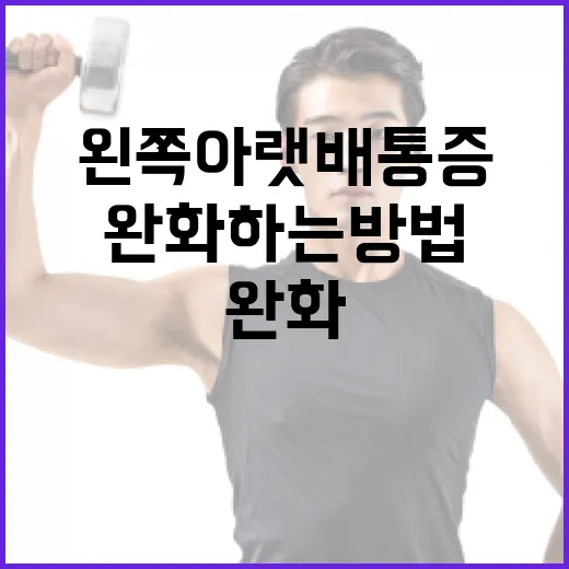 왼쪽 아랫배 통증을 완화하는 방법 - 요약