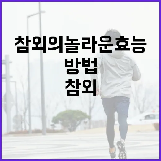 참외의 놀라운 효능을 알아보는 방법 - 요약