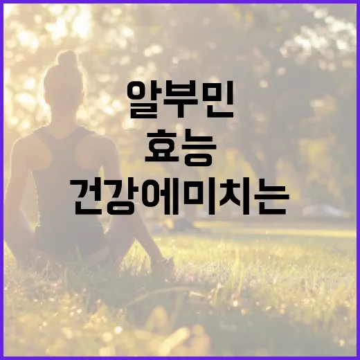 알부민의 효능과 건강에 미치는 긍정적 영향 알아보기 - 요약