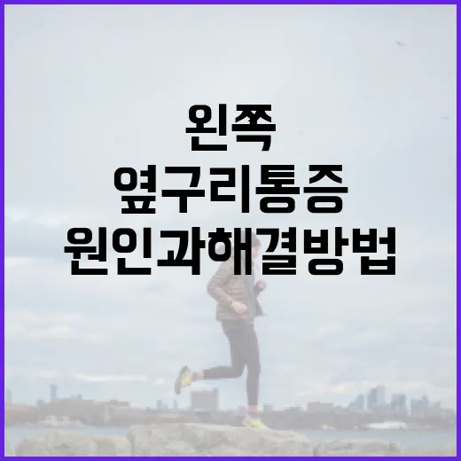 왼쪽 옆구리 통증의 원인과 해결 방법 - 요약