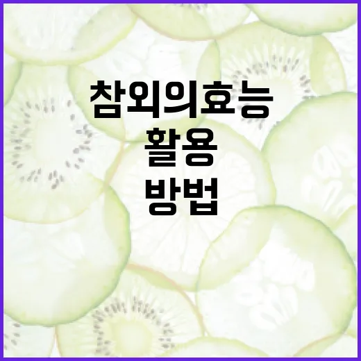 참외의 효능을 최대한 활용하는 방법 - 요약