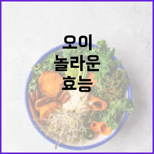 오이의 놀라운 건강 효능과 활용 방법 - 요약