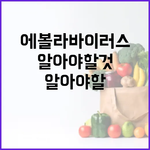 에볼라바이러스에 대해 알아야 할 것들: 건강 전문가의 조언 - 요약