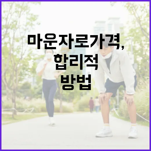 마운자로 가격, 합리적으로 선택하는 방법 - 요약