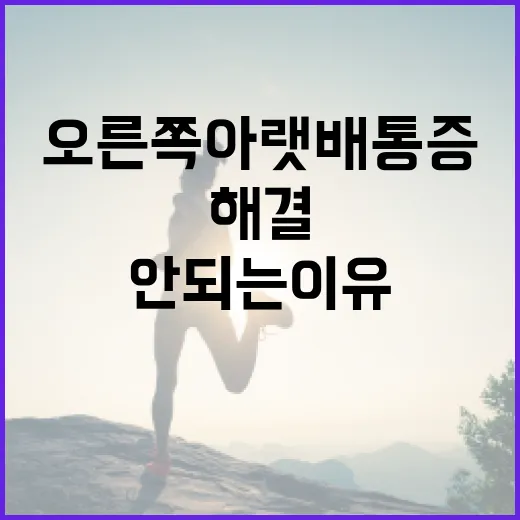 오른쪽 아랫배 통증, 무시하면 안 되는 이유와 해결 방법 - 요약