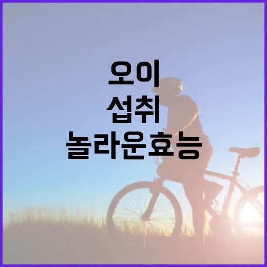 오이의 놀라운 효능과 건강하게 섭취하는 방법 - 요약