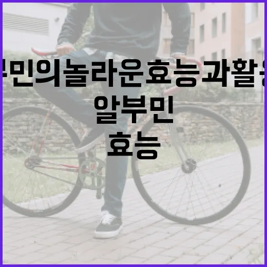 알부민의 놀라운 효능과 활용법 - 요약