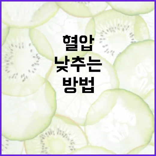 혈압을 효과적으로 낮추는 방법: 건강한 라이프스타일로 시작하세요 - 요약