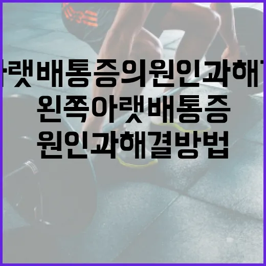 왼쪽 아랫배 통증의 원인과 해결 방법 - 요약