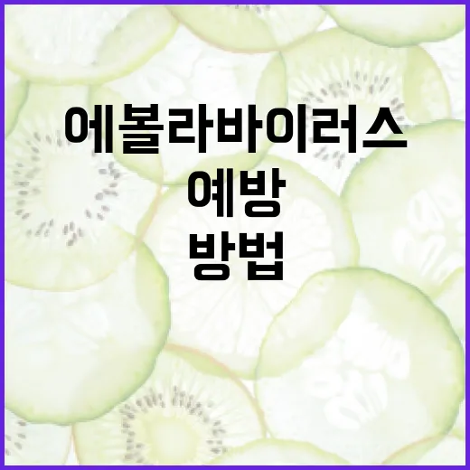 에볼라바이러스를 예방하고 관리하는 방법 - 요약