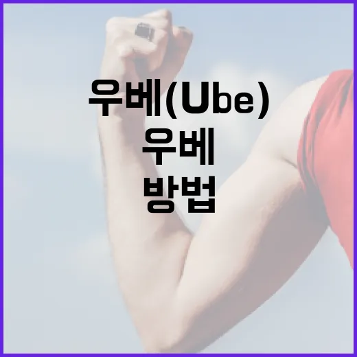 우베(Ube)란 무엇인가? 건강하게 즐기는 방법 - 요약