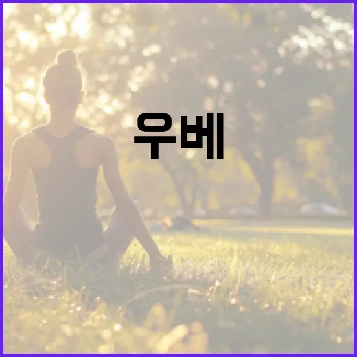 우베의 진짜 뜻과 활용법 알아보기 - 요약