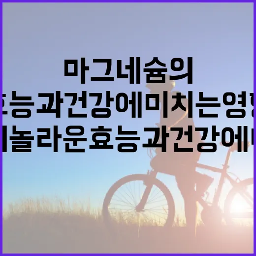마그네슘의 놀라운 효능과 건강에 미치는 영향 - 요약