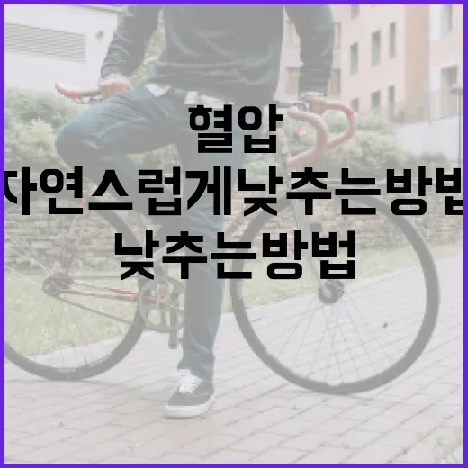 혈압을 자연스럽게 낮추는 방법 - 요약
