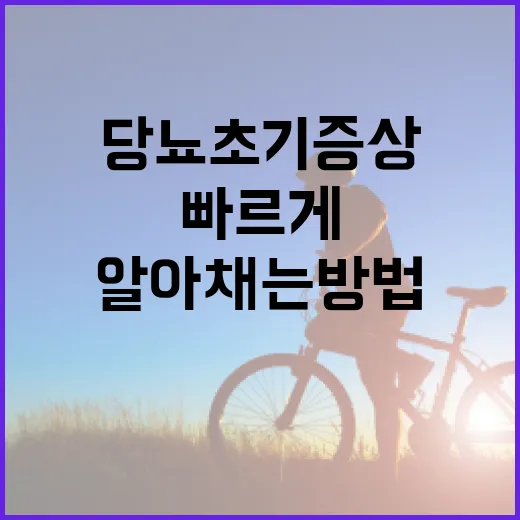 당뇨 초기증상을 알아채는 방법, 빠르게 대처하는 팁! - 요약