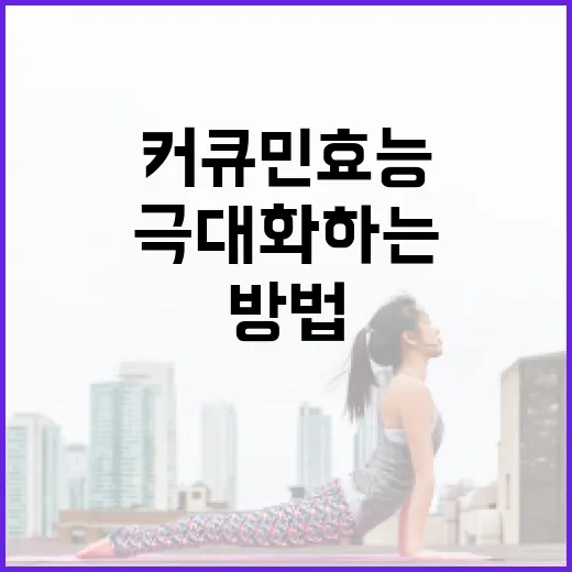 커큐민 효능을 극대화하는 방법 - 요약