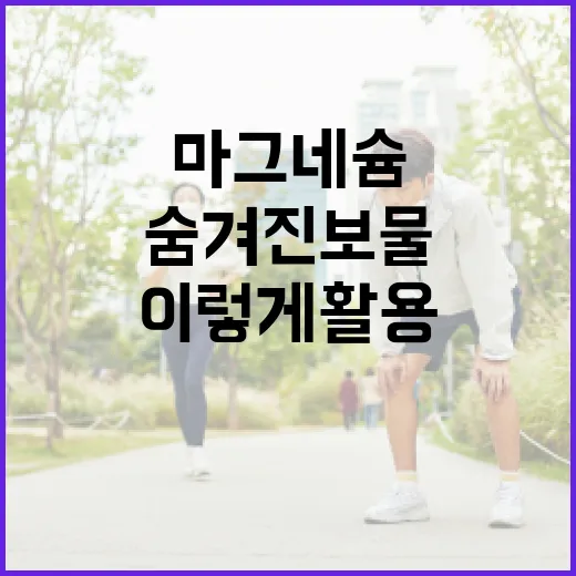 마그네슘, 건강을 위한 숨겨진 보물: 이렇게 활용해보세요 - 요약