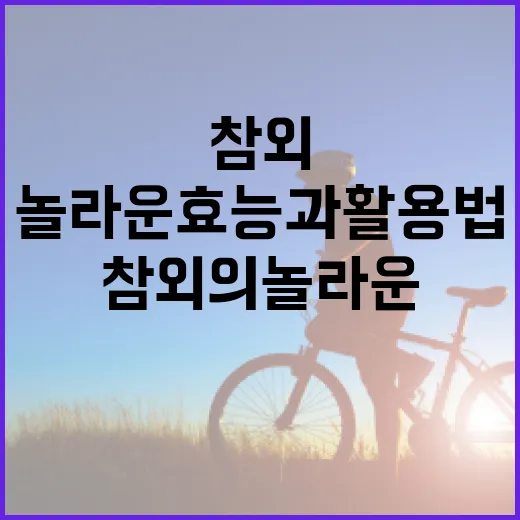참외의 놀라운 효능과 활용법 - 요약