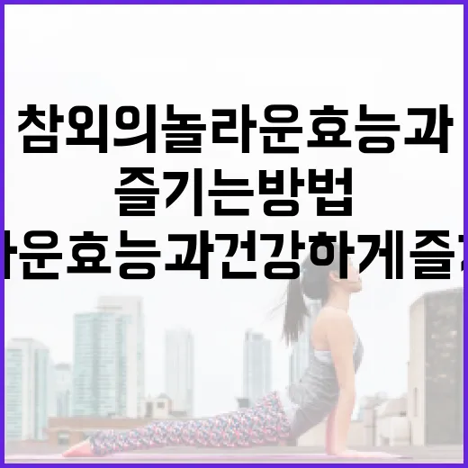 참외의 놀라운 효능과 건강하게 즐기는 방법 - 요약