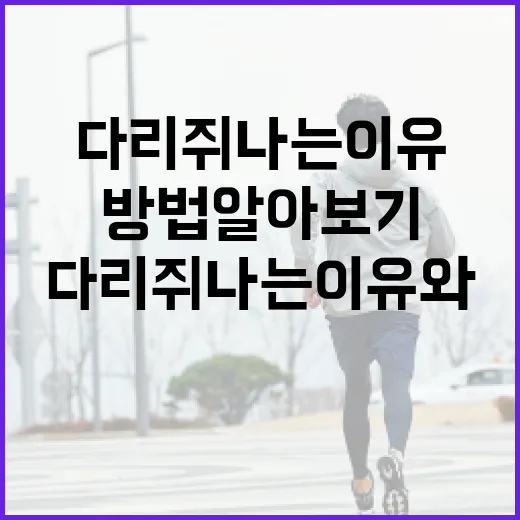 다리 쥐나는 이유와 해결 방법 알아보기 - 요약