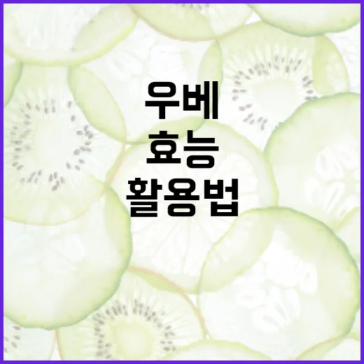 우베의 놀라운 효능과 활용법 - 요약