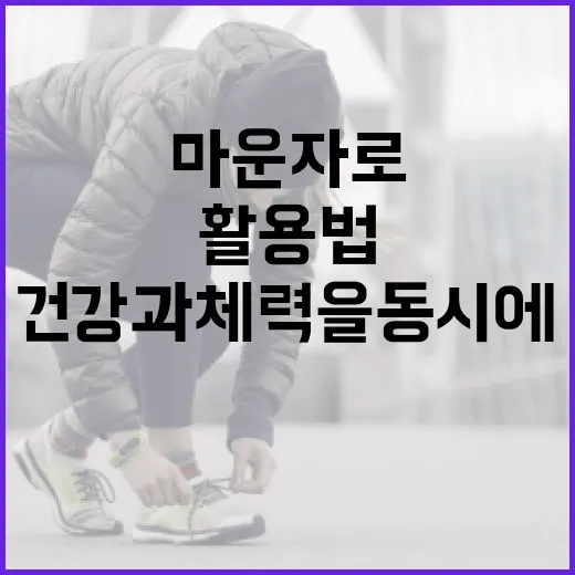 마운자로 활용법: 건강과 체력을 동시에! - 요약