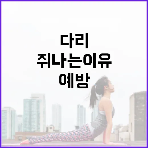 다리 쥐나는 이유와 예방하는 방법 - 요약