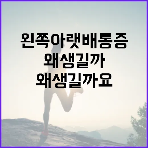 왼쪽 아랫배 통증, 왜 생길까요? 알아보는 방법 - 요약