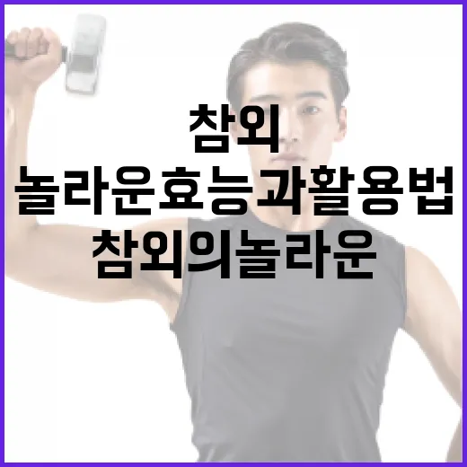 참외의 놀라운 효능과 활용법 - 요약