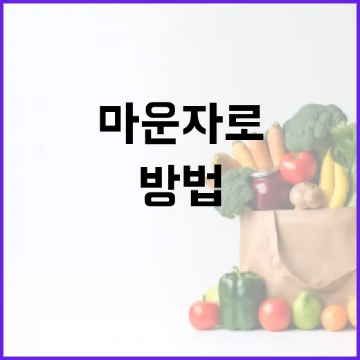 마운자로의 매력을 알아보는 방법 - 요약